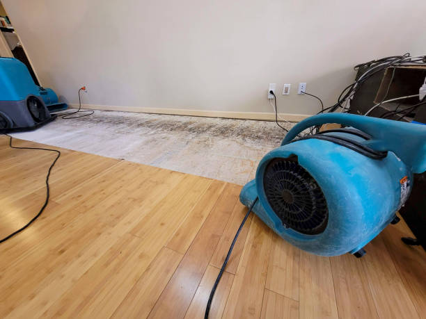 Professional Structural Drying technician working in Athens, IL